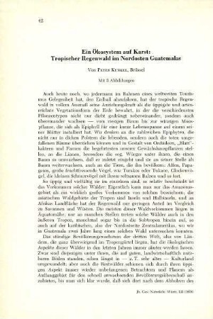 Ein Ökosystem auf Karst: Tropischer Regenwald im Nordosten Guatemalas