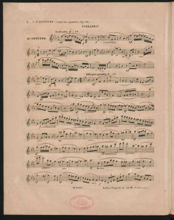 Violino Io.