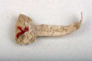 Reliquie des Hl. Willehad