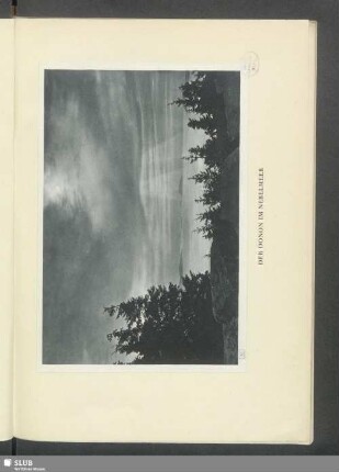 Der Donon im Nebelmeer
