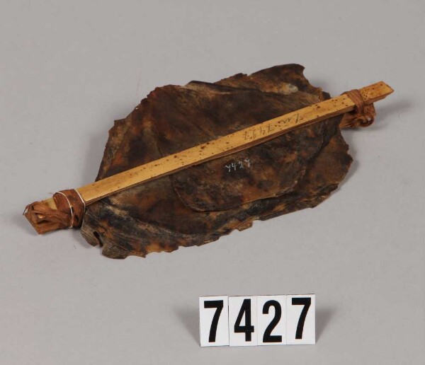 Écaille de tortue