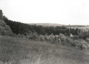 Niederoderbruch. Talhang (ca. 1 km nördlich vom Schiffshebewerk Niederfinow). Blick zum Großschiffahrtsweg, Pimpernellenberg und Teufelsberg