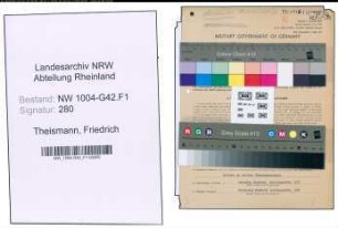 Entnazifizierung Friedrich Theismann , geb. 07.07.1906 (Mechaniker)