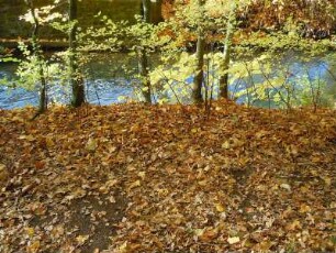 Herbsttag im Selketal am Fluss Selke : Das Tal des kleinen Flusses Selke im Unterharz ist ein beliebtes Wandergebiet. Aufgenommen an einem sonnigen Herbsttag, am 21. Oktober 2012, bei Alexisbad