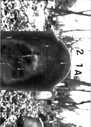Grabstein A I/2/1A
