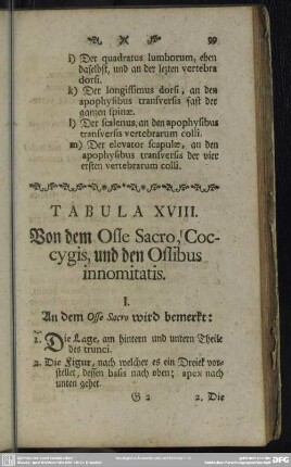 Tabula XVIII. Von dem Osse Sacro, Coccygis, und den Ossibus innomitatis