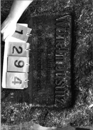 Grabstein 1294 [Hahn S. 110 Grab-Nr. 2088/89]: Grabstein 1294 (Detailaufnahme) [Hahn S. 110 Grab-Nr. 2088/89]