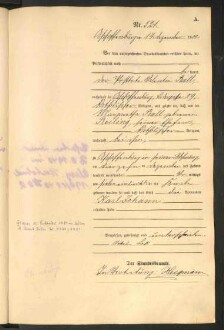 Standesamtsbuch der Stadt Aschaffenburg: Geburten 365/1900 - 184/1901