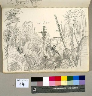 Felsige Waldlandschaft