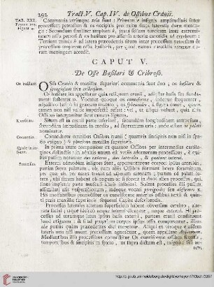 Caput V: De Osse Basilari et Cribroso