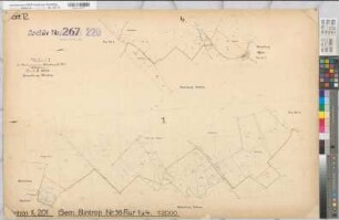 Küntrop (Neuenrade), Garbeck (Balve), Umlegung Küntrop, Bl.12 Urkarte I Blintrop Flur 1;4