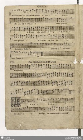 XIV. Alleluia kommet her und schauet an