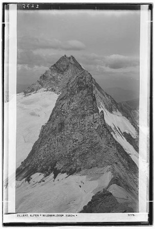 Zillertaler Alpen. Wildgerlosspitze (3382 Meter)