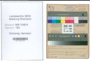 Entnazifizierung Hermann Schosnig , geb. 20.04.1903 (Revisor)
