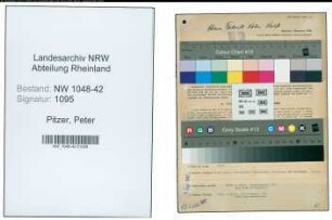 Entnazifizierung Peter Pitzer , geb. 04.09.1900 (Arbeiter)