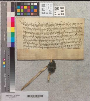 Lehnbrief des Abtes Arnold von Corvey für Alhart von Hörde.
