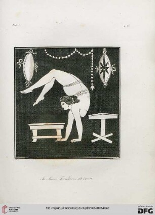 Plate I-VIII
