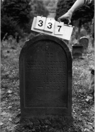 Grabstein 337 (Index: 100095641) Maße HxBxT: 82x46x11 cm Symbolik: Rosette Besonderheit: Kindergrab: Grabstein 337