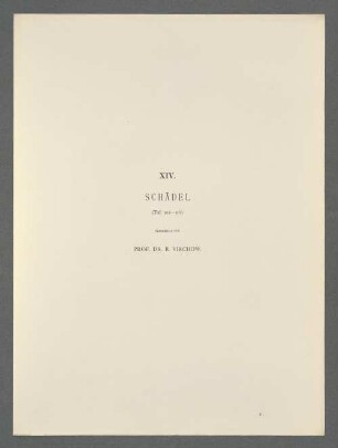 XIX. Schädel (Taf. 108-116)