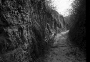 Endingen: Hohlweg zu den Weinbergen