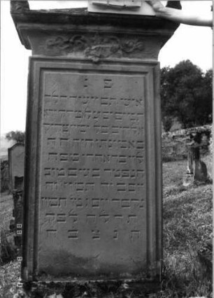 Grabstein 231