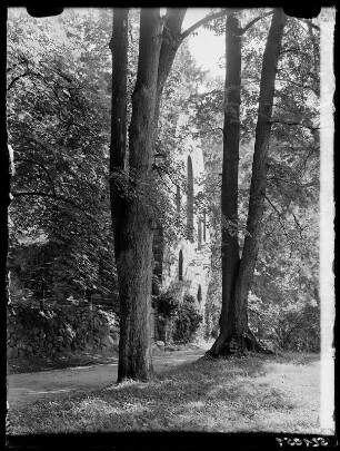 Klosterruine Lindow bei Rheinsberg 34