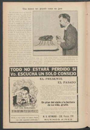 Una mosca tan grande como un gato