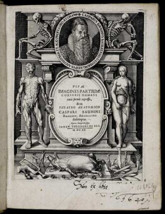 Vivae Imagines Partium Corporis Humani : aeneis formis expressae, & ex Theatro Anatomico Caspari Bauhini Basilien. Archiatri desumptae