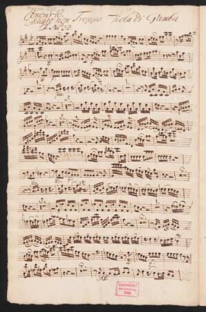 Viola di gamba