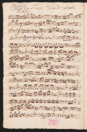 Viola di gamba