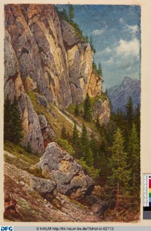 Felswand und Nadelbäume