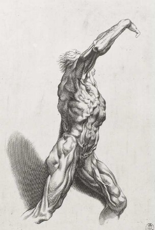 Écorché (gesamte Figur, nach links gedreht)