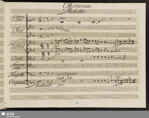 Offertorium/Motetto: Splendor