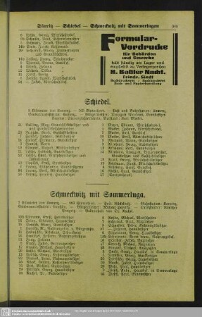 Schmeckwitz : Schmeckwitz mit Sommerluga