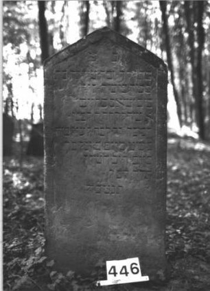 Grabstein 446 (Index: 99898210) Material: Sandstein Zustand: angewittert Maße HxBxT: 119x56x13 cm Beschreibung: Stele mit Dreiecksabschluss: Grabstein 446