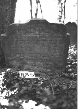 Grabstein 585 (Index: 99900729) Material: Sandstein Zustand: unten völlig verwittert Maße HxBxT: 67x70x7 cm Beschreibung: Stele mit eingezogenem Schulterbogenabschluss, im Bogenfeld herabhängende Blüte Symbolik: Blüte: Grabstein 585