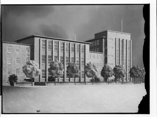 Volksschule Bogenstraße [Jahnschule] [Heute: Ida-Ehre-Gesamtschule] (Hamburg-Eimsbüttle): Modell : SchumacherWV Nr. 301