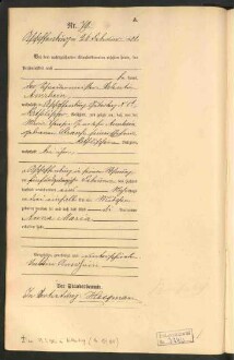 Standesamtsbuch der Stadt Aschaffenburg: Geburten 365/1900 - 184/1901
