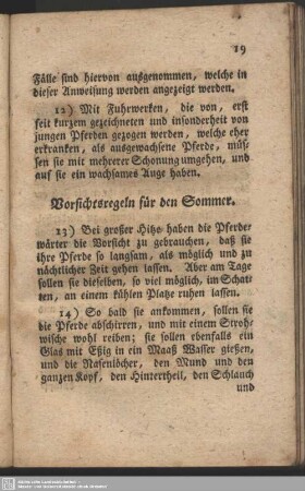 Vorsichtsregeln für den Sommer