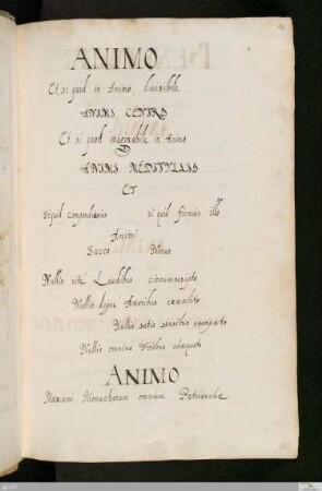 Opera Sacra Meditationum