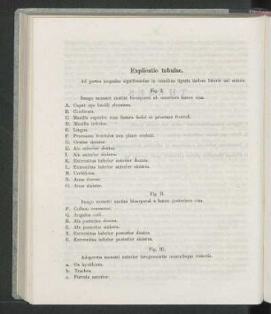 Explicatio tabulae.