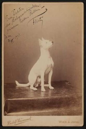 Portrait des Hundes "Flirt" von Richard Beer-Hofmann mit Widmung