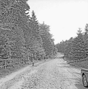 Hahnheide: Hohenfelder Damm: Landstraße Richtung Trittau mit Kopfsteinpflaster: hinten Wald