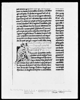 Homilien — Initiale A, in Form eines Drachens, Folio 14recto