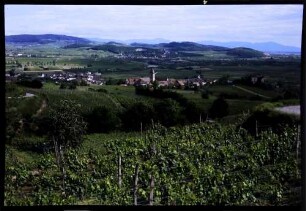 Burkheim: vom Berg auf Burkheim, Kaiserstuhl und Schwarzwald