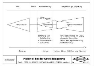 Pilzbefall bei der Getreidelagerung (nach HUEGEL, JUNGBLUTH, HOFMANN und MUELLER 1993, erweitert