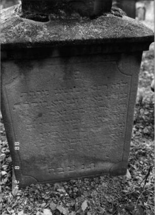 Grabstein 290 (Index: 100095734) Maße HxBxT: 134x40x30 cm Besonderheit: Kindergrab: Grabstein 290C