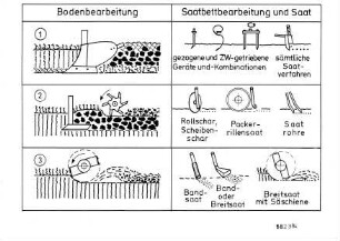 Bodenbearbeitung, Saatbettbearbeitung und Saat