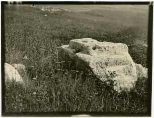 sar'a [Sara, Altar]