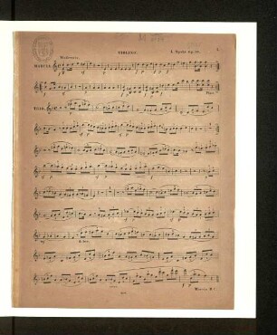 Violino.